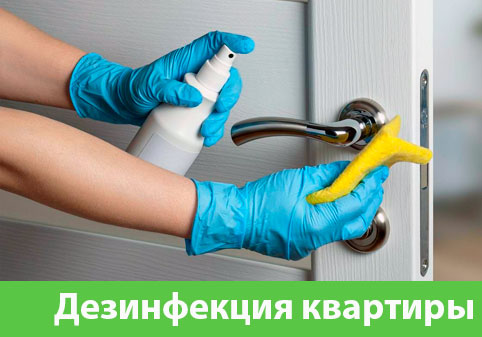 Дезинфекция квартиры в городе Волжск