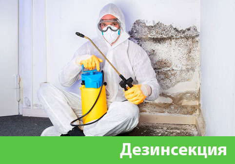 Дезинсекция в городе Волжск