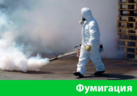 Фумигация в городе Волжск