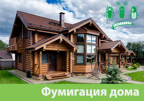 Преимущества обработки газом в городе Волжск