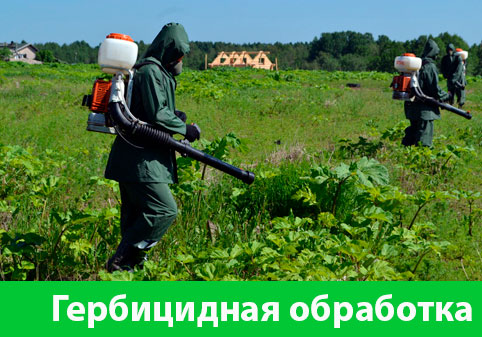 Гербицидная обработка в городе Волжск