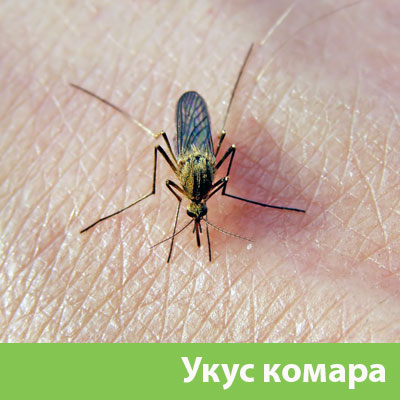 Укусы комаров в Волжске
