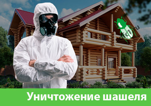 Уничтожение шашеля и личинок в Волжске