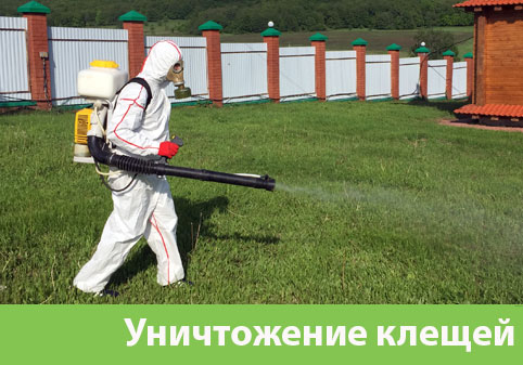 Уничтожение клещей в городе Волжск